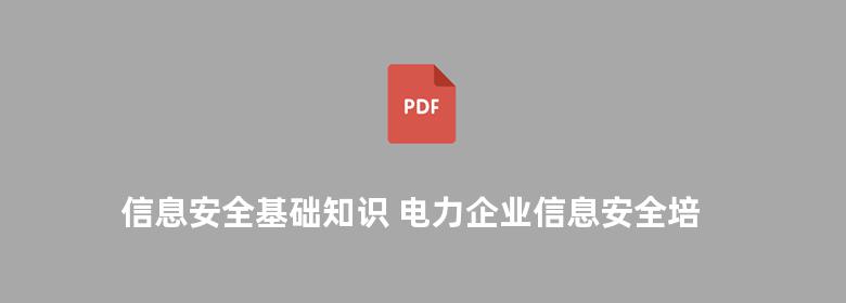 信息安全基础知识 电力企业信息安全培训系列丛书